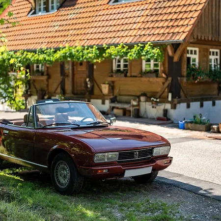 Maennle Holiday home Gengenbach